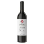 barbera 2019 vintage tenute ca 0 1753360606 - LIQUORFREIGHTT