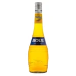 bols premium mango liqueur 750 0 1753360179 - LIQUORFREIGHTT