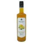 botanico gentian liqueur itali 0 1753360837 - LIQUORFREIGHTT