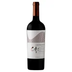 chilean carmenere wine terrano 0 1753359986 - LIQUORFREIGHTT
