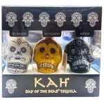 dia de los muertos tequila min 0 1753360837 - LIQUORFREIGHTT