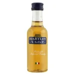 hartley vsop cognac miniature 0 1753360106 - LIQUORFREIGHTT