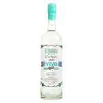 siempre vivo premium smooth te 0 1753360387 - LIQUORFREIGHTT